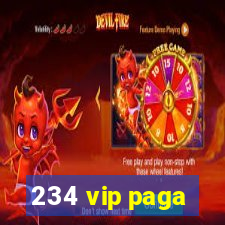 234 vip paga